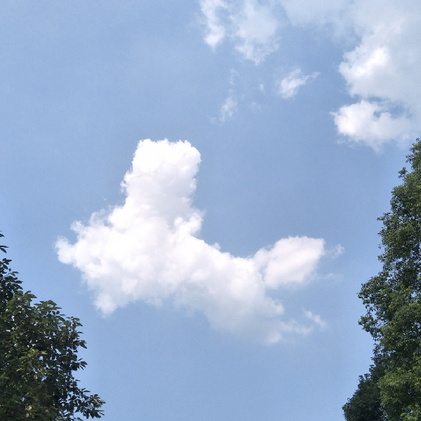 天空